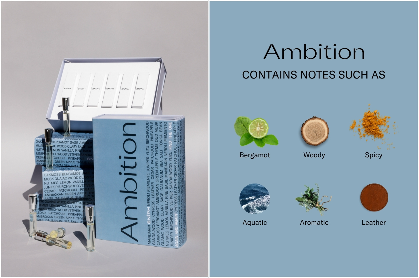 Ambition
